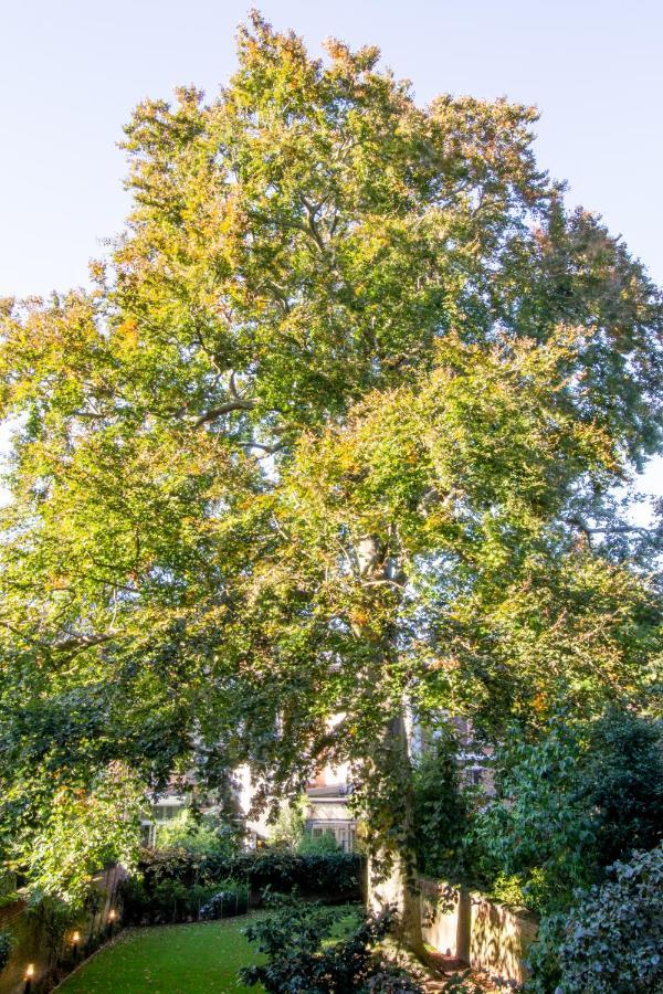 The Old Beech Bed and Breakfast Antwerpen Exteriör bild